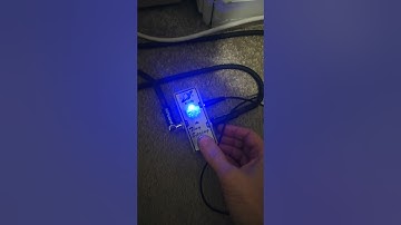 Hissy Tone City Tiny Spring Reverb Pedal