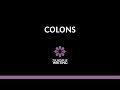 Understanding the Uses of Colons