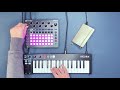 Novation circuit plants sound pack for techno and ambient  patches walk through