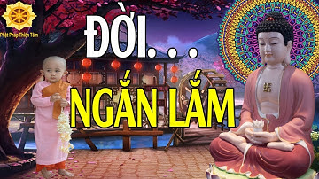 ĐỜI NGẮN LẮM   Tranh Giành Hơn Thua Rồi Cũng về Với Cát Bụi Mà Thôi # Rất Hay -  Phật Pháp Thiện Tâm