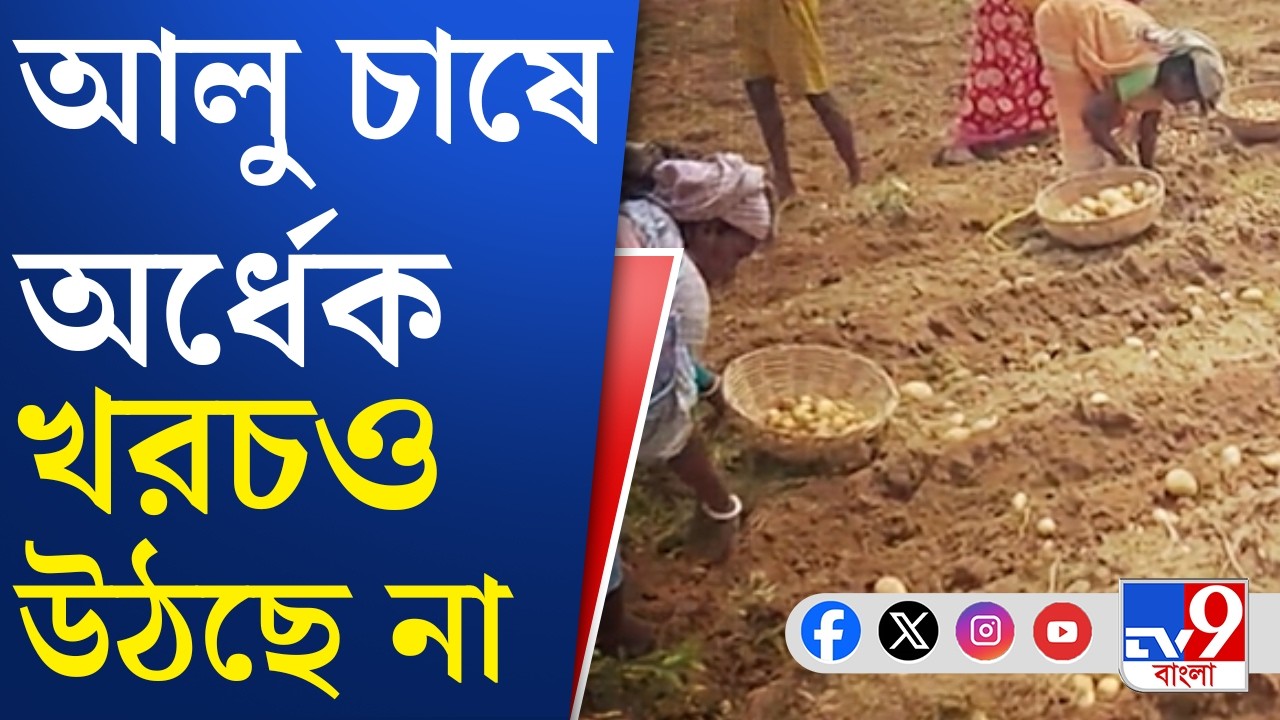 Hooghly Potato Farmer Issue: মাঠে দাম নেই, ভোটের মাঠে দেখার হুঁশিয়ারি | TV9 Bangla