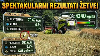 MASSIVE YIELD! Claas Lexion 6900 Harvesting KWS Umberto Oilseed Rape 🌾