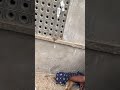 vomiting #dogshorts #doglife #dogvideos #dog