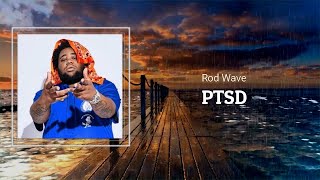 Rod Wave - PTSD (Lyrics)
