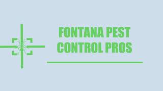 Fontana Pest Control Pros-Mosquito Control Service in Fontana CA