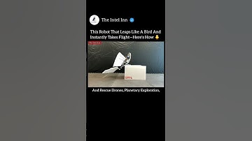 This Bird-Like Robot Jumps Before It Flies!😱🚀 #Robot #BirdRobot #Science #Innovation #Technology