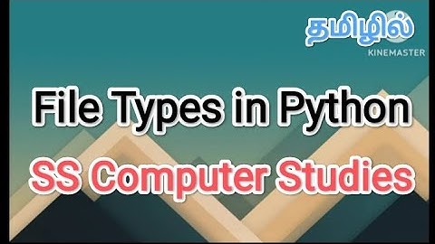 File types in python | python in tamil, #sscomputerstudies, #python, #filetypes
