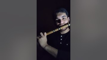 Srivalli Flute Cover | Pushpa | @AlluArjun, Rashmika Mandanna | @javedali @ThisIsDSPMusic