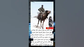 Shorts جندي ألماني من قوات رومل راكب ا جمل ا في عمق صحراء شمال أفريقيا خلال الحرب العالمية الثانية 