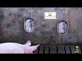 Automatic drinking water system  modern pig farm