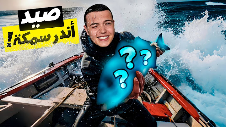 طبختها على الشاطئ مع فواكه البحر الشهية | رحلة إلى الأعماق لصيد أندر سمكة في البحر !