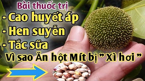 Bài thuốc trị Cao huyết áp hen suyễn, tắc sữa.PHAN HẢI channel
