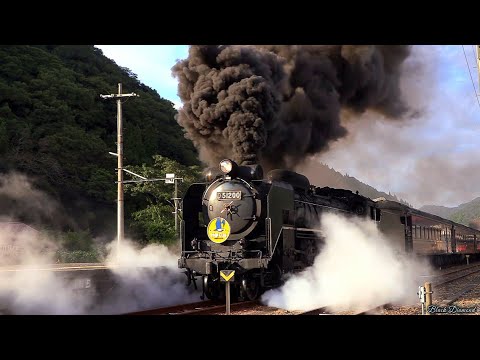 彼岸花咲く頃】SLやまぐち号 D51200号機 2025.9.28 Japanese Steam