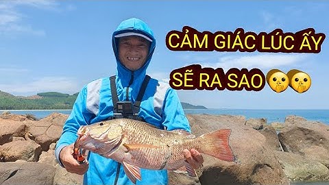 CẢM GIÁC CÂU ĐƯỢC CÁ HỒNG MIU NGOÀI GHỀNH BIỂN | 8X TV