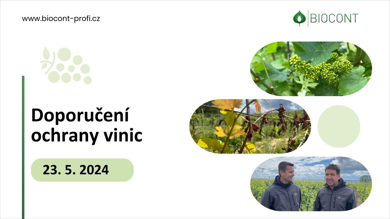 Doporučení ochrany vinic_ 23. 5. 2024