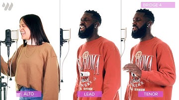 Gratitude - Brandon Lake - Vocal Tutorial