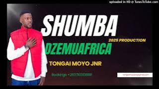Tongai Moyo Jnr-Kunditsoma  Audio
