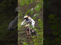 Vali Holl Looks Fast Even In Slow-Motion