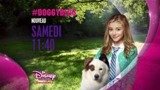 Doggy blog - Samedi 28 novembre à 11h40 sur Disney Channel !