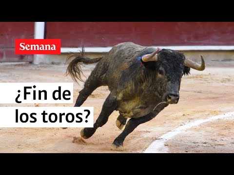 ¿Estocada a las corridas de toros en Colombia? | Semana Noticias