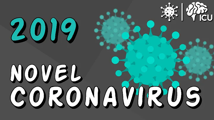 2019 Novel Coronavirus - EVERYTHING you wanted to know! - DayDayNews