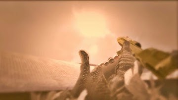 Twixtor Gold Desert Eagle Reload MW2