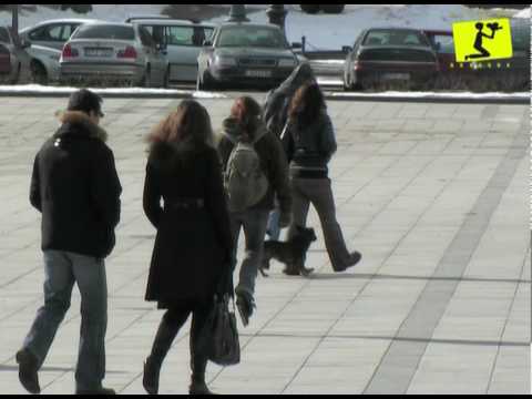 Žinios 2010-03-23