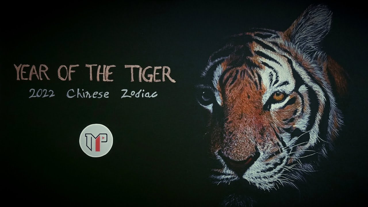 Watch me draw the Chinese Zodiac - Year of the Tiger 2022