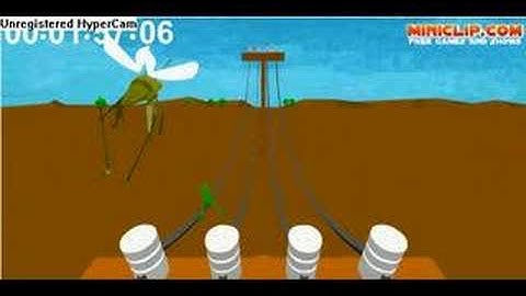 Bug On a Wire My Best Score