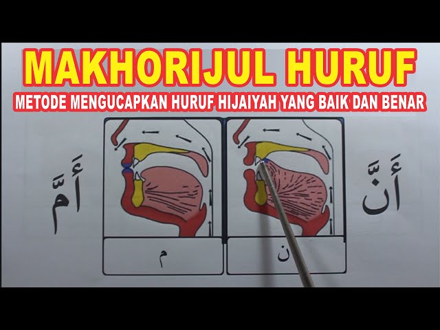 MAKHORIJUL HURUF CARA PENGUCAPAN HURUF HIJAIYAH LENGKAP DENGAN GAMBAR class=