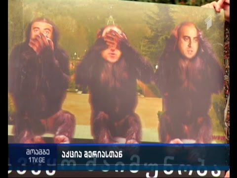 „პარტიზანი მებაღეები“ ვაკის პარკისთვის სარეკრიაციო ზონის სტატუსის მინიჭებას ითხოვენ