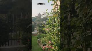 My Garden Overview