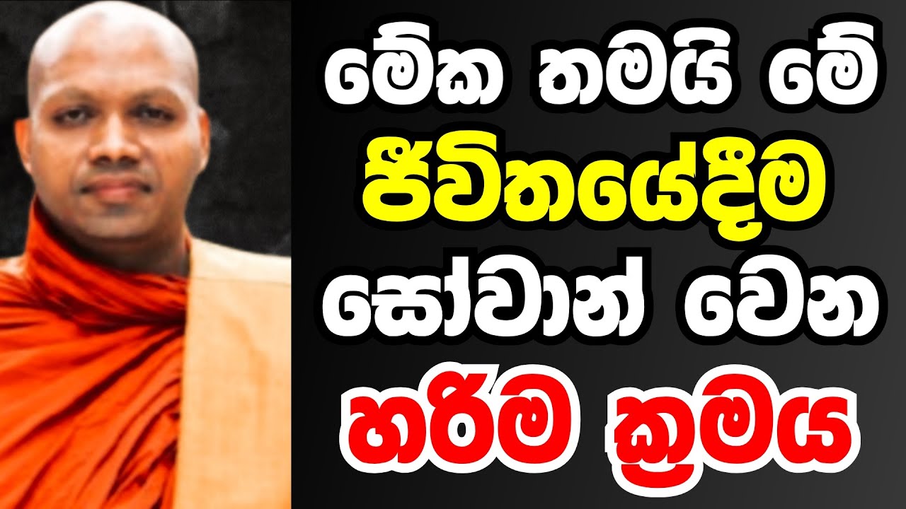 මේක තමයි මේ ජීවිතයේදීම සෝවාන් වෙන හරිම ක්‍රමය | Ven hasalaka seelawimala thero bana 2025