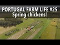 Portugal Farm Life - 25 - Spring chickens!