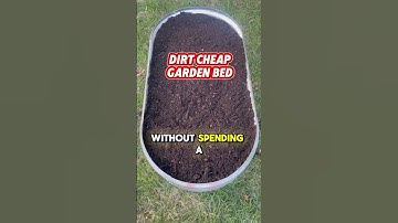 How to Fill a Raised Garden Bed for FREE!