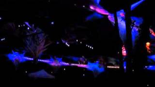 Live in Concert Younger Brother at Ozora 2010