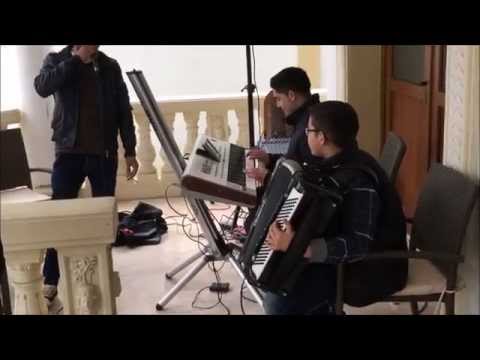 sebi de la timisoara - hoata lumea asta rea ascultare live 2015
