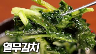 입안 가득! 풋내 없는 아삭 열무김치 대박집 비법 대공개 (이것만 알면 실패 끝!)