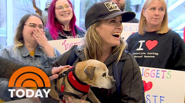 WATCH: Lost dog reunited with owner after 7 years apart
