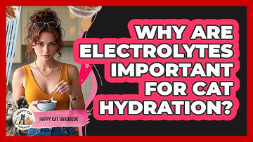 Why Are Electrolytes Important For Cat Hydration? - Happy Cat Handbook
