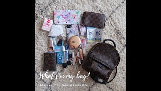 Louis Vuitton Palm Springs mini| What fits inside