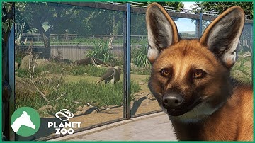 Maned Wolf & Giant Anteater Habitat | Elm Hill City Zoo | Planet Zoo