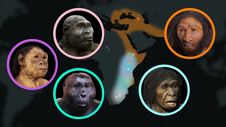 Seven Million Years of Human Evolution #datavisualization - DayDayNews