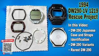 Casio DW-290-1V Rescue | Restoring a Rare 1994 Module 1219