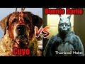 Torneo Slasher - Ronda 1: Cuyo Vs Donnie Darko