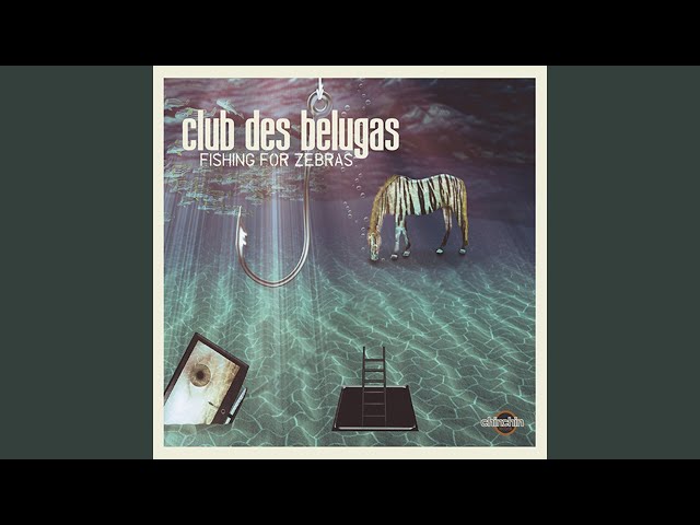 Club Des Belugas - The Secret