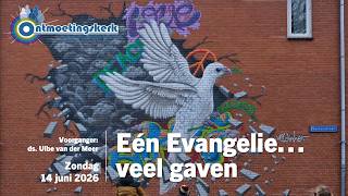 Zondag 14 juni 2026 | Eén Evangelie… veel gaven