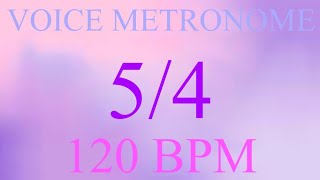 Voice Metronome  -  5 Count  -  120 bpm