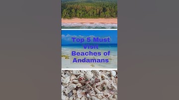 Top 5 Must Visit Beaches of Andamans #beach #andaman #island #mustvisit  #holiday #adventure #shorts
