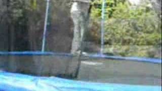 Ultimate Trampolining
